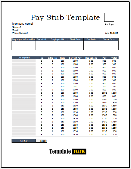 Pay Stub Template – Fillable Format