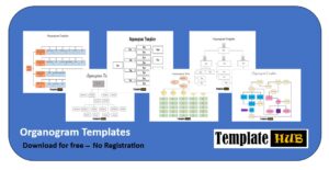 Organogram Template Thumbnail