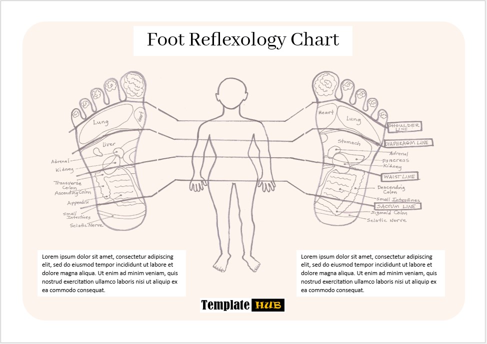 Foot Reflexology Chart – Complete Guide