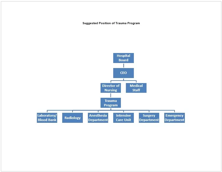 Organizational Chart 04