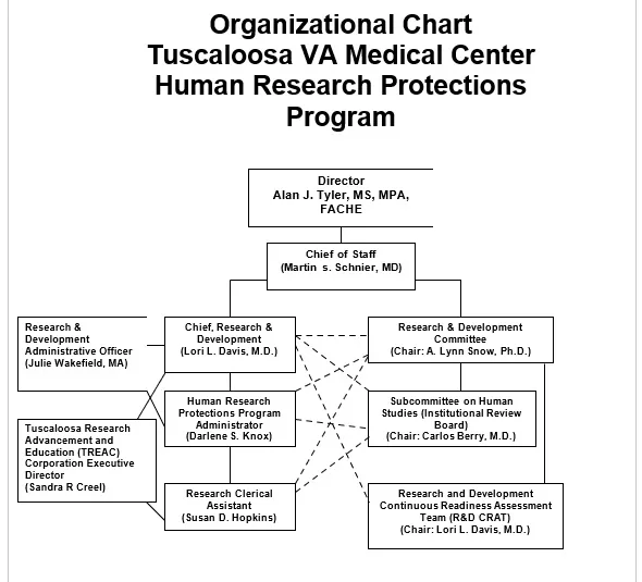 Organizational Chart 05