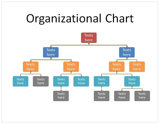 Organizational Chart 09