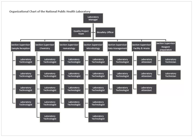 Organizational Chart 11