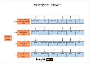 Organogram Template 61