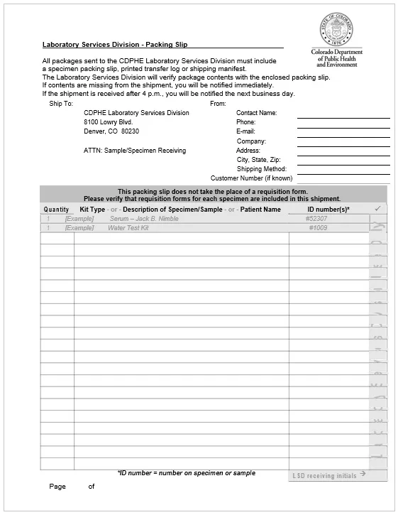 Shipping Packing Slip Template 04